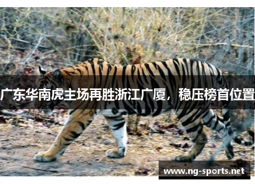 广东华南虎主场再胜浙江广厦，稳压榜首位置